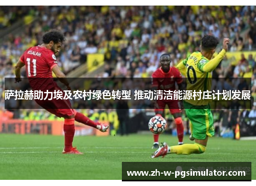 萨拉赫助力埃及农村绿色转型 推动清洁能源村庄计划发展 萨拉赫助力埃及农村绿色转型 推动清洁能源村庄计划发展