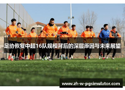 足协恢复中超16队规模背后的深层原因与未来展望